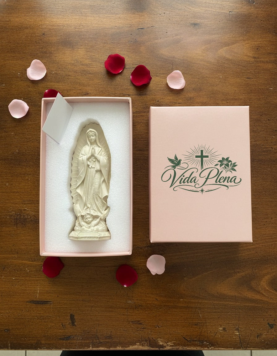 La Virgen llega en su caja de regalo Vida Plena